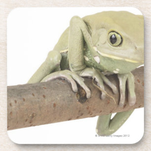 23568119 UNTERSETZER