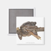 23568138 MAGNET (Vorderseite/Rückseite)