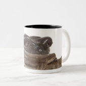 23568138 ZWEIFARBIGE TASSE (VorderseiteRechts)