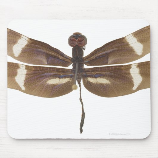 23599152 MOUSEPAD (Vorne)