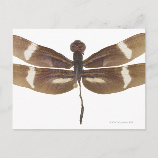 23599152 POSTKARTE (Vorderseite)