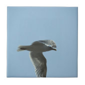 2367 FLIESE (Vorderseite)