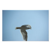 2367 FOTODRUCK (Vorne)