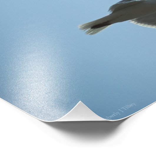 2367 FOTODRUCK (Ecke)