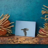 2367 FOTOPLATTE (Seite)