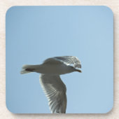 2367 GETRÄNKEUNTERSETZER (Vorderseite)