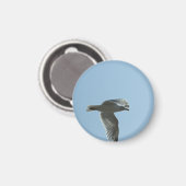 2367 MAGNET (Vorderseite/Rückseite)