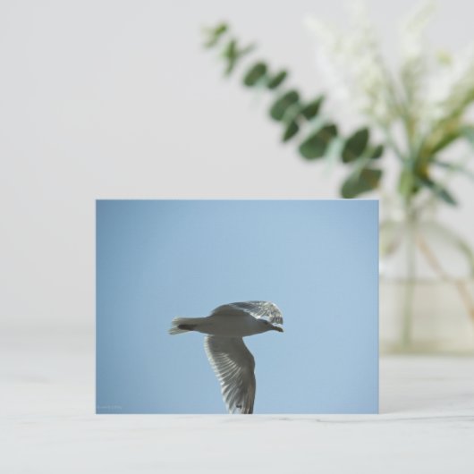 2367 POSTKARTE (Stehend Vorderseite)