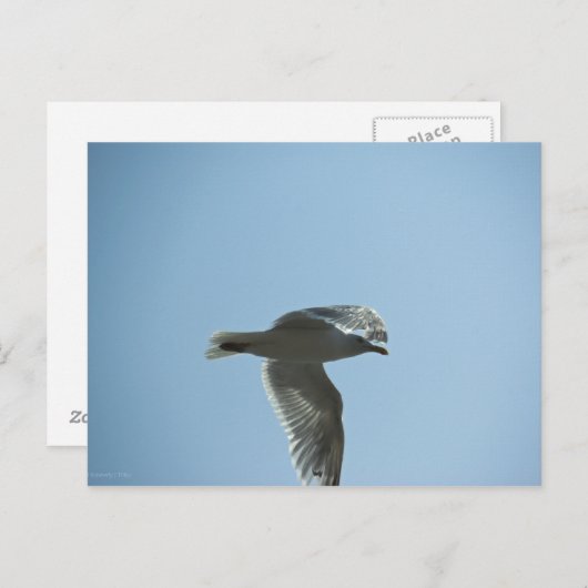 2367 POSTKARTE (Vorne/Hinten)