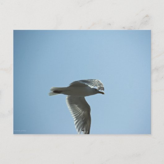 2367 POSTKARTE (Vorderseite)