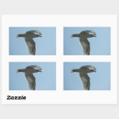 2367 RECHTECKIGER AUFKLEBER (Blatt)