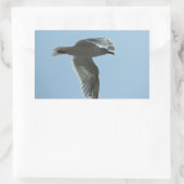 2367 RECHTECKIGER AUFKLEBER (Tasche)