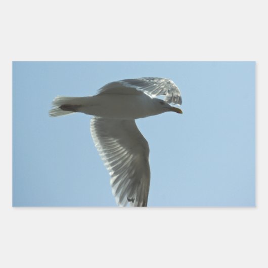 2367 RECHTECKIGER AUFKLEBER (Vorderseite)