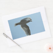 2367 RECHTECKIGER AUFKLEBER (Umschlag)