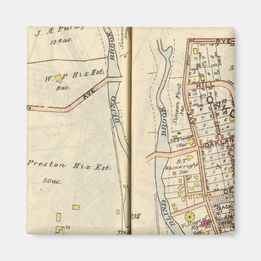 238239 Roggen Magnet (Vorne)