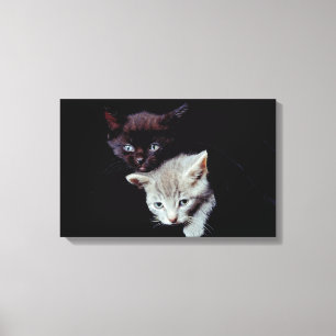 23893007 LEINWANDDRUCK