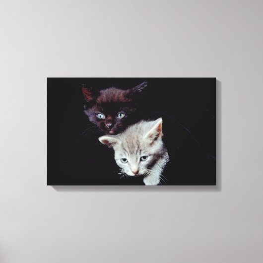 23893007 LEINWANDDRUCK (Vorderseite)