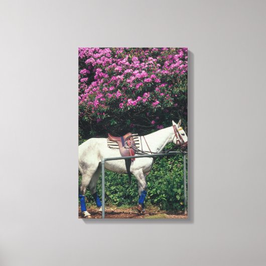 23893981 LEINWANDDRUCK (Vorderseite)