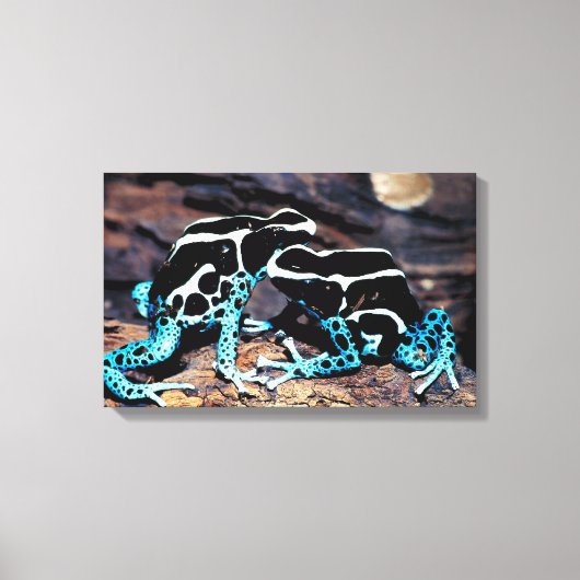 23898179 LEINWANDDRUCK (Vorderseite)