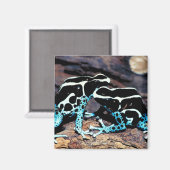 23898179 MAGNET (Vorderseite/Rückseite)