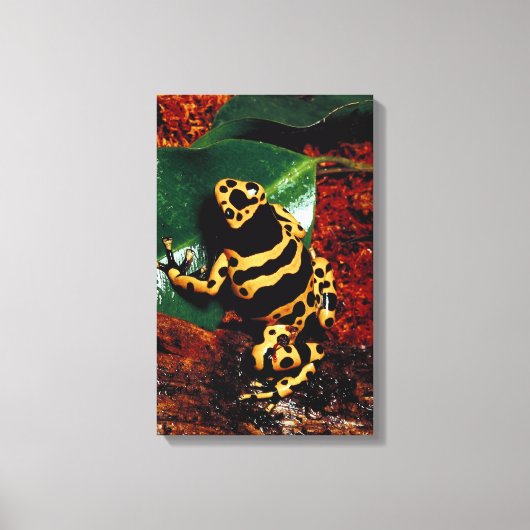 23898189 LEINWANDDRUCK (Vorderseite)