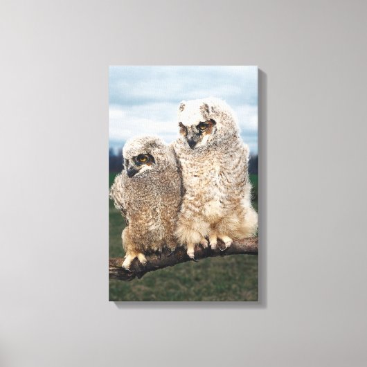 23899051 LEINWANDDRUCK (Vorderseite)