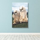 23899051 LEINWANDDRUCK (Insitu (Holzboden))