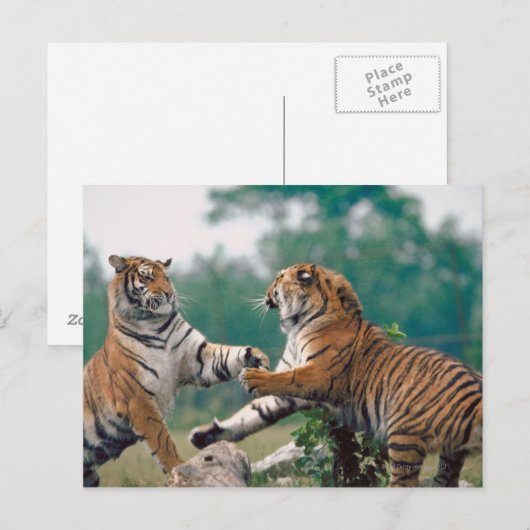 23899157 POSTKARTE (Vorne/Hinten)