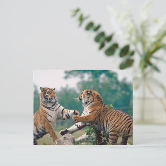 23899157 POSTKARTE (Stehend Vorderseite)