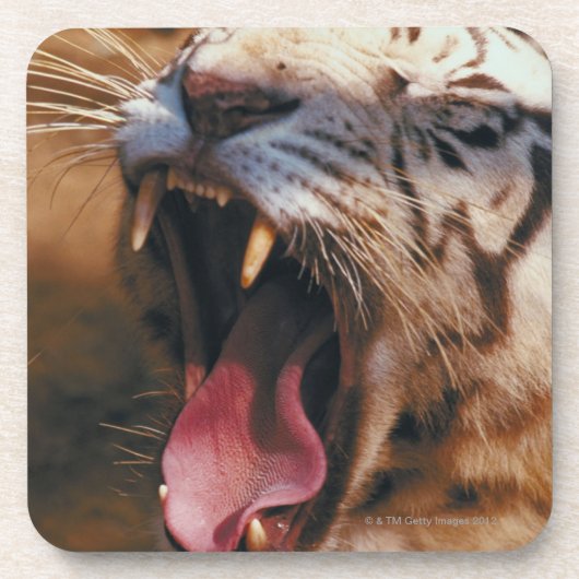 23899234 GETRÄNKEUNTERSETZER (Vorderseite)