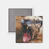 23899234 MAGNET (Vorderseite/Rückseite)