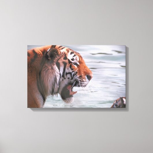 23899262 LEINWANDDRUCK (Vorderseite)