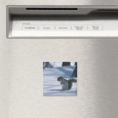 23936348 MAGNET (In Situ (Geschirrspüler))