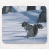 23936348 MOUSEPAD (Vorne)