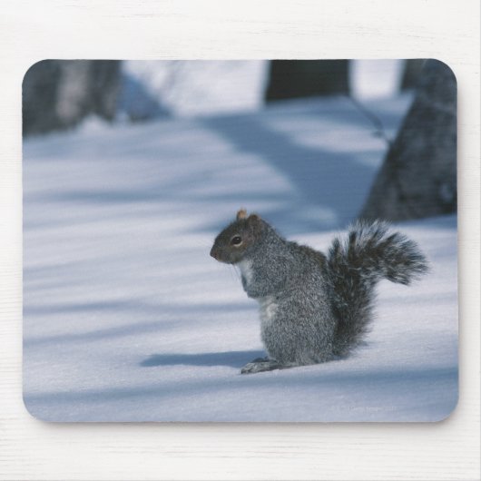 23936348 MOUSEPAD (Vorne)