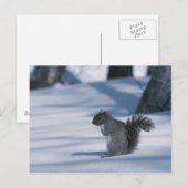 23936348 POSTKARTE (Vorne/Hinten)
