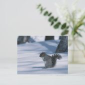 23936348 POSTKARTE (Stehend Vorderseite)