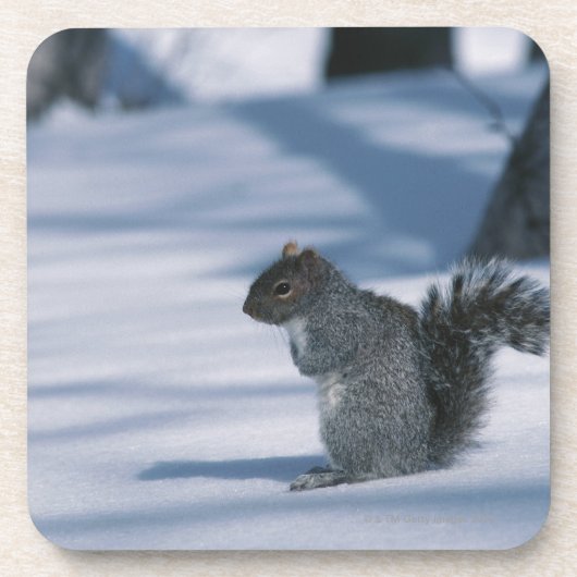 23936348 UNTERSETZER (Vorderseite)