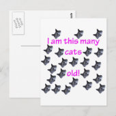 23 Katzenköpfe alt Postkarte (Vorne/Hinten)