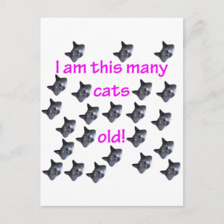 23 Katzenköpfe alt Postkarte
