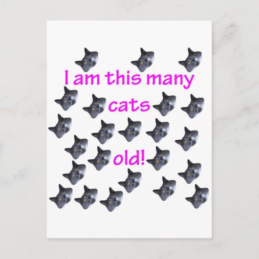 23 Katzenköpfe alt Postkarte (Vorderseite)