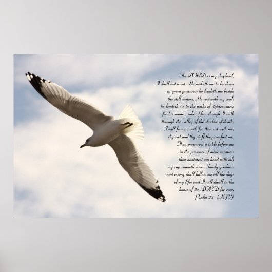 23. Psalm-Bibelverse mit steil ansteigender Meeres Poster (Vorne)