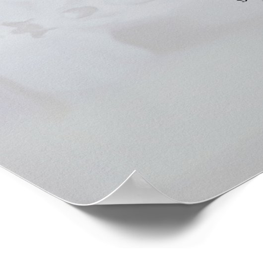 23 Tafelweiße Reflektionen Hochsitzdiagramm Poster (Ecke)