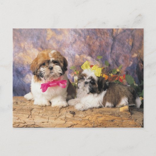 24095243 POSTKARTE (Vorderseite)