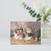 24095243 POSTKARTE (Stehend Vorderseite)