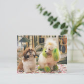 24095244 POSTKARTE (Stehend Vorderseite)