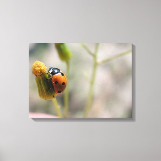 24102385 LEINWANDDRUCK (Vorderseite)