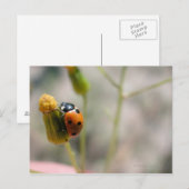 24102385 POSTKARTE (Vorne/Hinten)