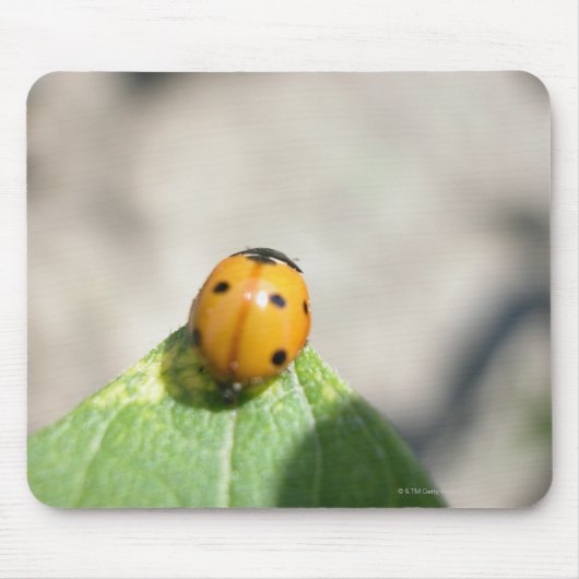 24102386 MOUSEPAD (Vorne)