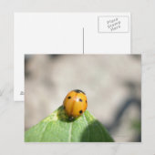 24102386 POSTKARTE (Vorne/Hinten)